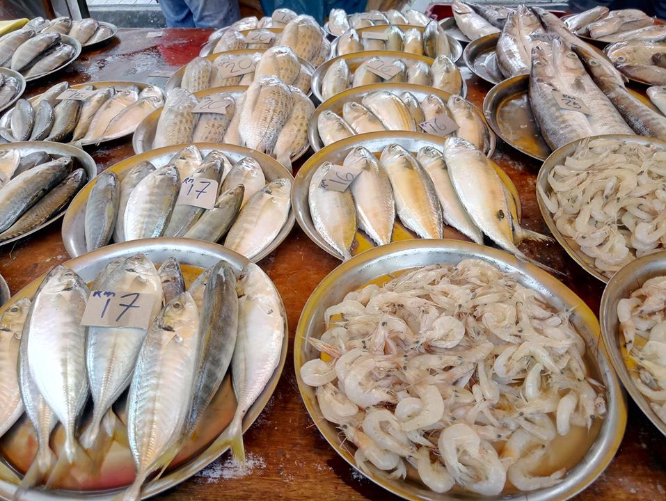 baliq