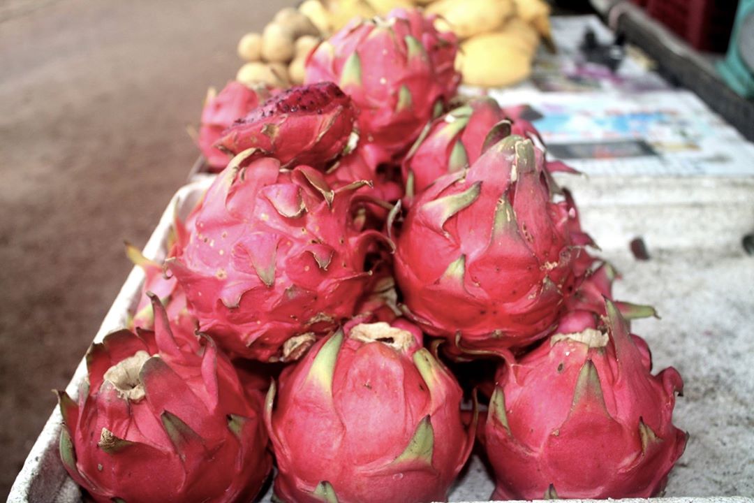 dragon-fruit