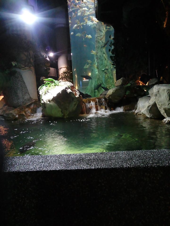 ochiq akvarium