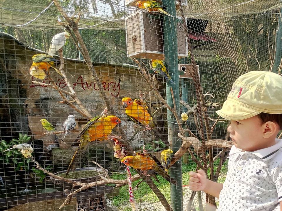 zokir to'ti ko'ryapti