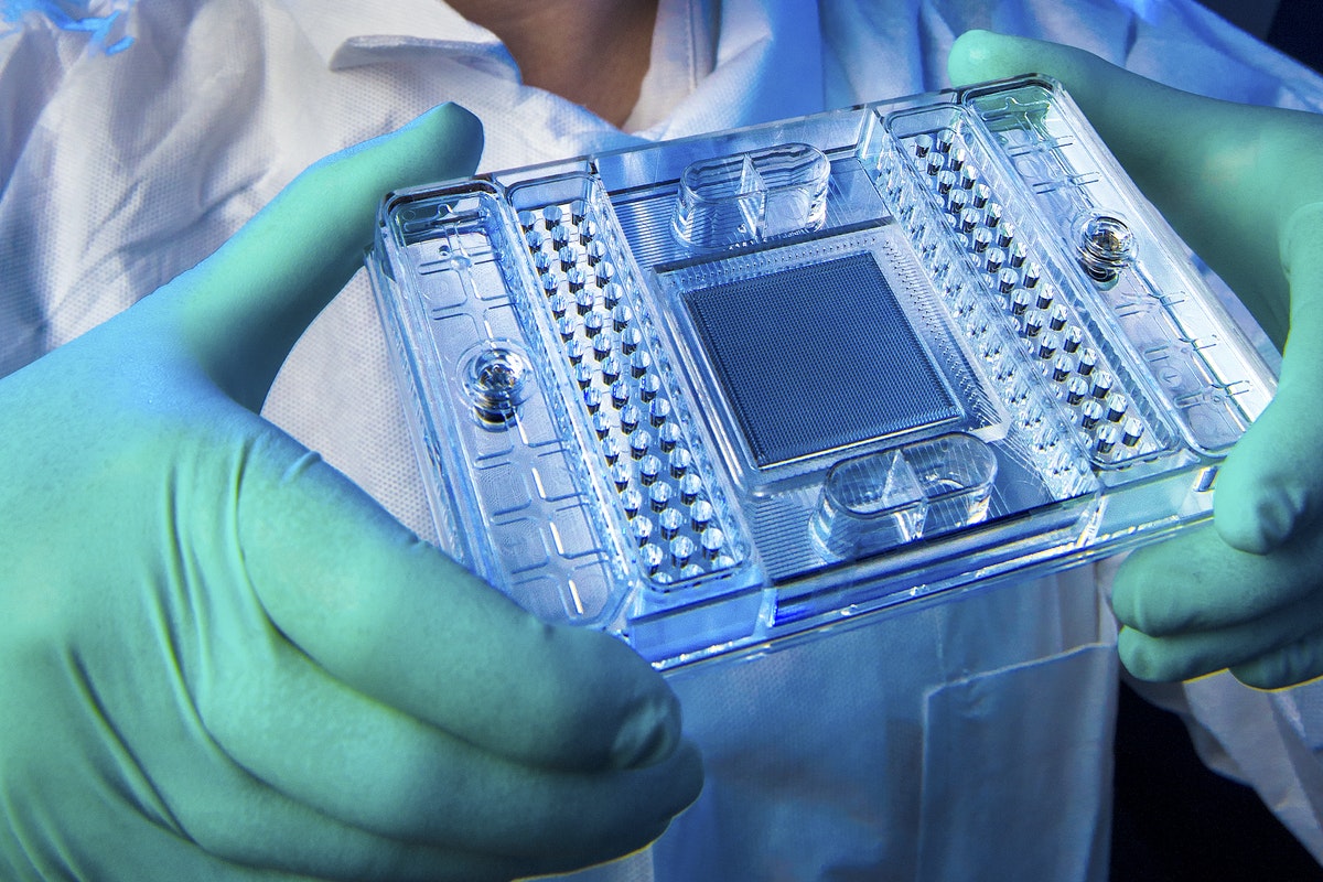 Koronavirus va yahudiylar