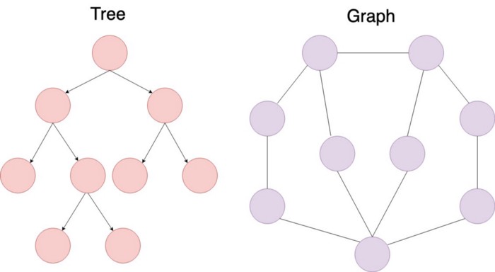 Tree va Graph